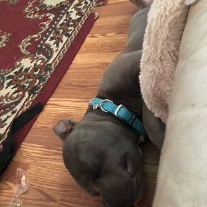 Meet your Posher, Nathaniel